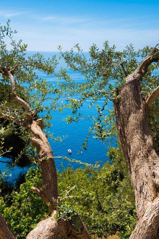 Villa De Rosa Позітано Екстер'єр фото